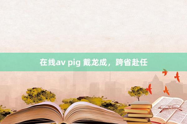 在线av pig 戴龙成，跨省赴任