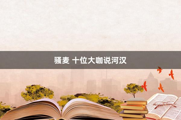 骚麦 十位大咖说河汉