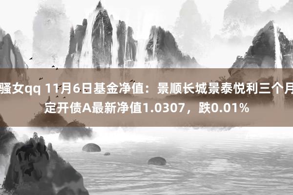 骚女qq 11月6日基金净值：景顺长城景泰悦利三个月定开债A最新净值1.0307，跌0.01%