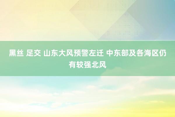 黑丝 足交 山东大风预警左迁 中东部及各海区仍有较强北风