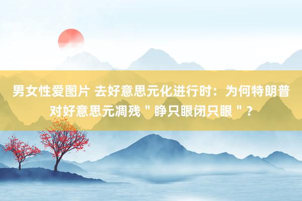 男女性爱图片 去好意思元化进行时：为何特朗普对好意思元凋残＂睁只眼闭只眼＂？