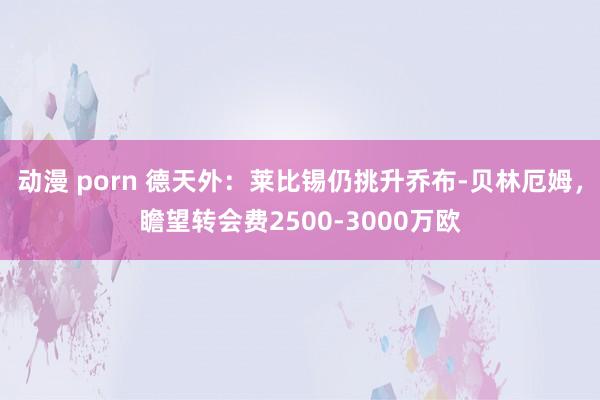 动漫 porn 德天外：莱比锡仍挑升乔布-贝林厄姆，瞻望转会费2500-3000万欧